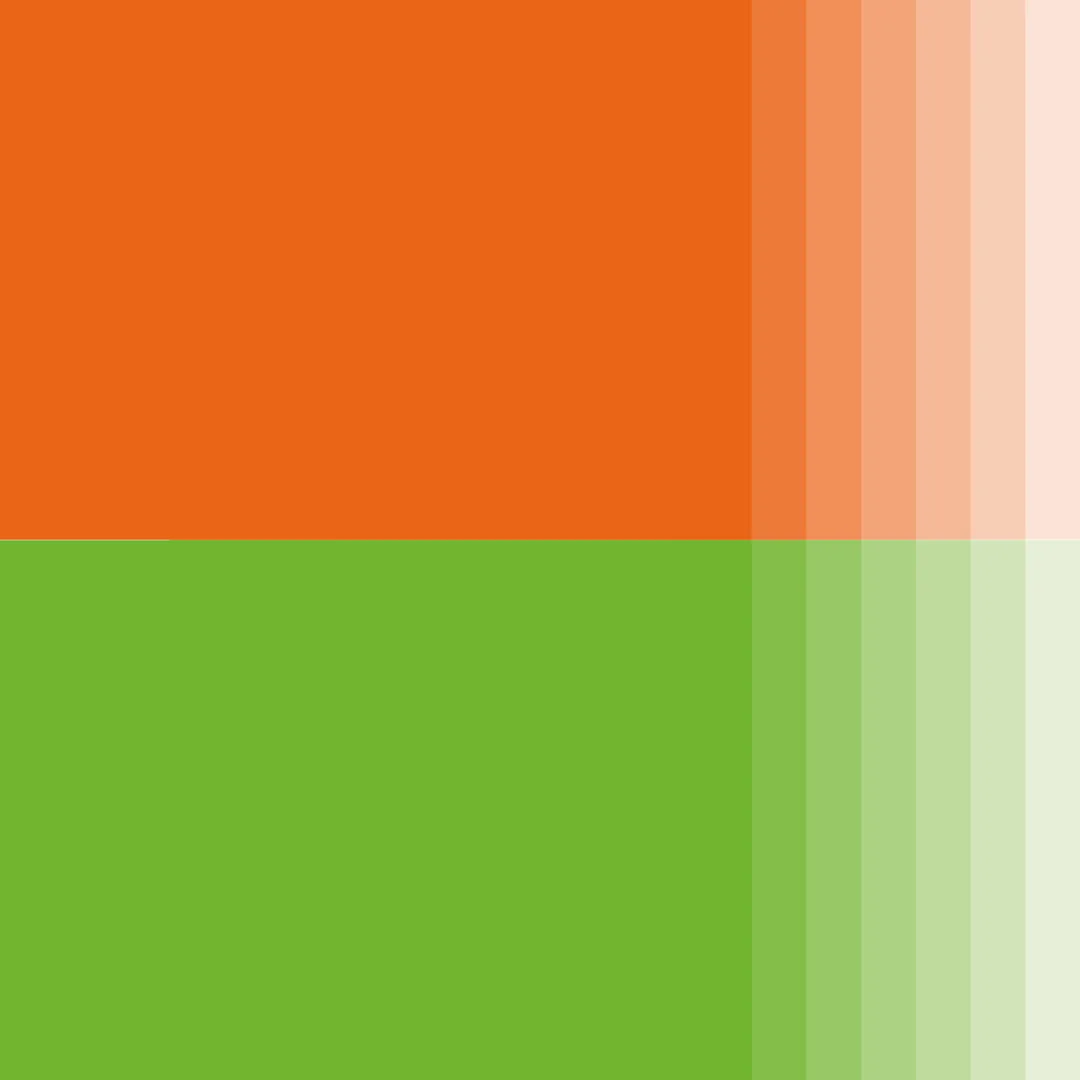 Traoré Consulting - Palette orange et vert de la marque